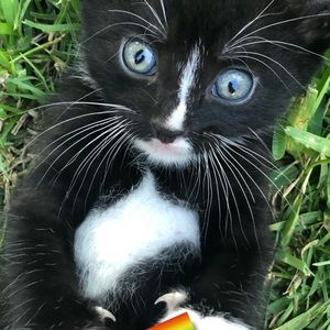 Meet your Posher, Roxy